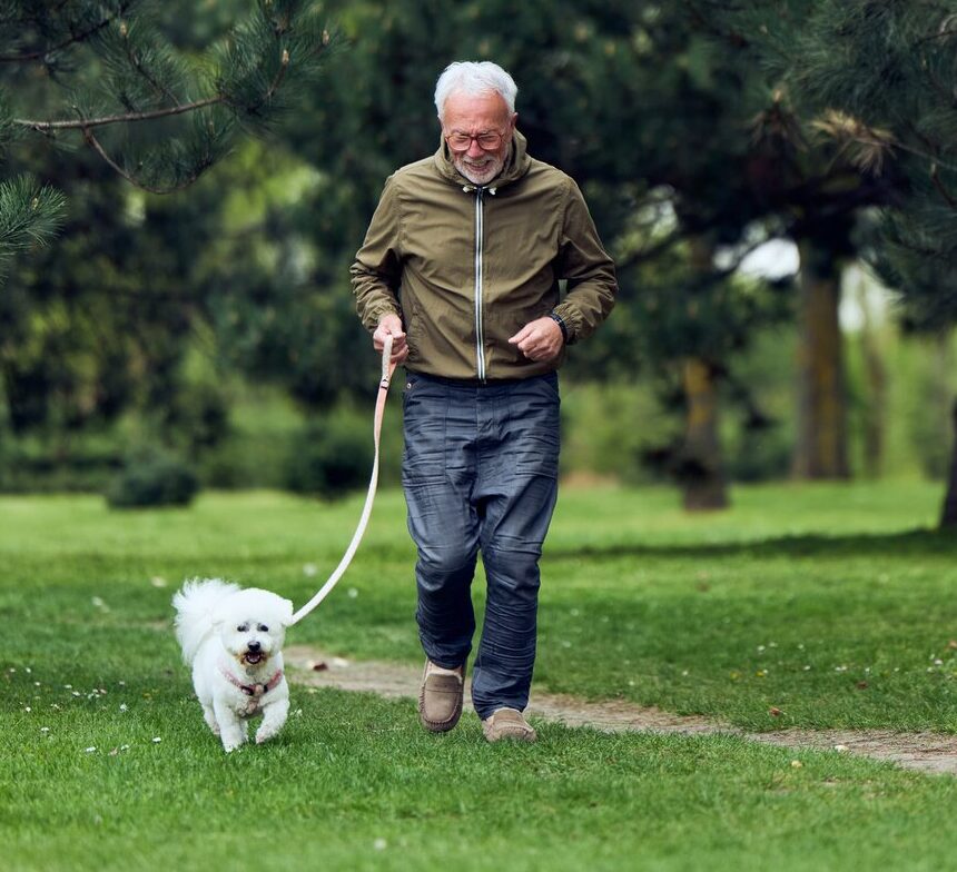 Elderly man walking small white dog in park